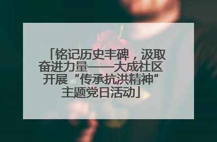 铭记历史丰碑，汲取奋进力量——大成社区开展“传承抗洪精神”主题党日活动