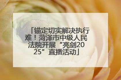 锚定切实解决执行难！菏泽市中级人民法院开展“亮剑2025”直播活动
