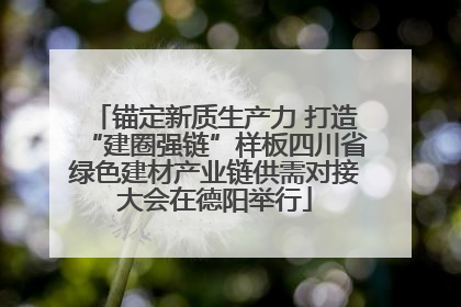 锚定新质生产力 打造“建圈强链”样板四川省绿色建材产业链供需对接大会在德阳举行