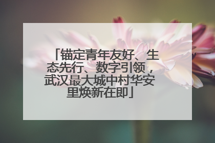 锚定青年友好、生态先行、数字引领，武汉最大城中村华安里焕新在即
