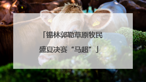 锡林郭勒草原牧民盛夏决赛“马超”