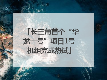 长三角首个“华龙一号”项目1号机组完成热试