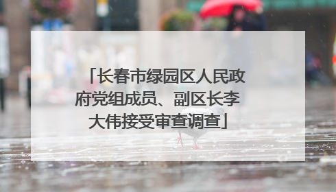 长春市绿园区人民政府党组成员、副区长李大伟接受审查调查