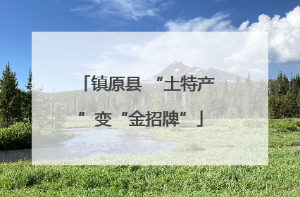 镇原县 “土特产”变“金招牌”