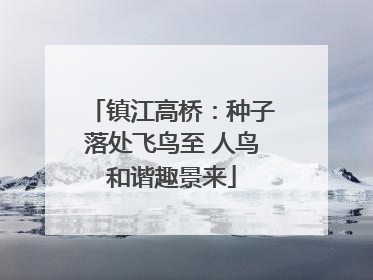 镇江高桥：种子落处飞鸟至 人鸟和谐趣景来