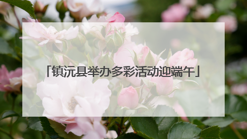 镇沅县举办多彩活动迎端午