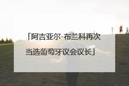 阿吉亚尔-布兰科再次当选葡萄牙议会议长