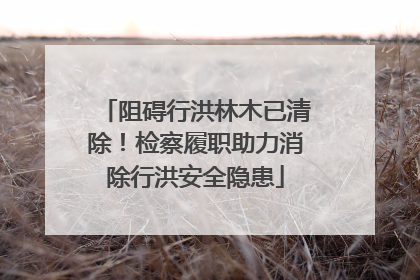 阻碍行洪林木已清除！检察履职助力消除行洪安全隐患