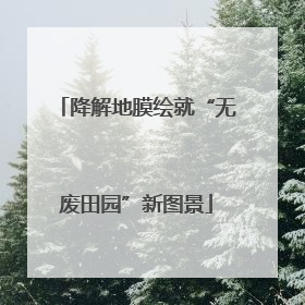 降解地膜绘就“无废田园”新图景