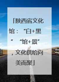 陕西省文化馆：“白+黑”“馆+景”，文化供给向美而聚