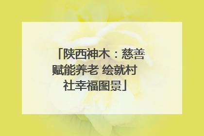 陕西神木：慈善赋能养老 绘就村社幸福图景