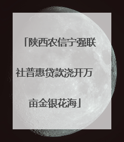 陕西农信宁强联社普惠贷款浇开万亩金银花海