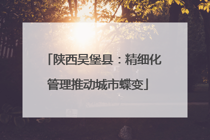 陕西吴堡县：精细化管理推动城市蝶变