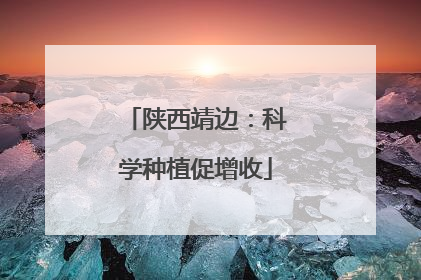 陕西靖边：科学种植促增收