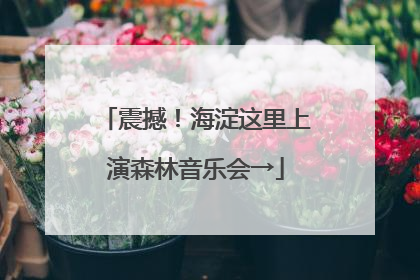 震撼！海淀这里上演森林音乐会→