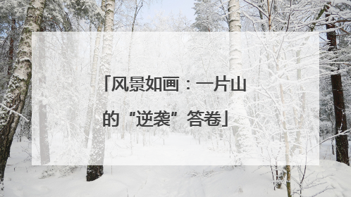 风景如画：一片山的“逆袭”答卷