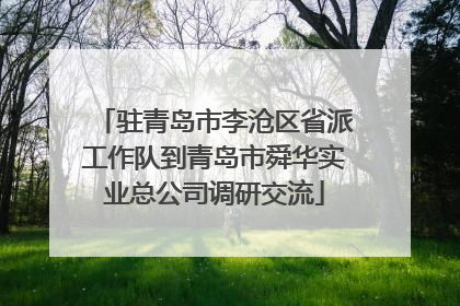 驻青岛市李沧区省派工作队到青岛市舜华实业总公司调研交流