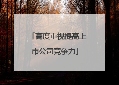 高度重视提高上市公司竞争力