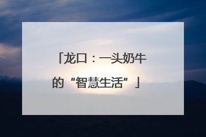 龙口：一头奶牛的“智慧生活”