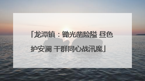 龙潭镇：锄光凿险隘 昼色护安澜 干群同心战汛魔