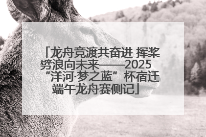 龙舟竞渡共奋进 挥桨劈浪向未来——2025“洋河·梦之蓝”杯宿迁端午龙舟赛侧记