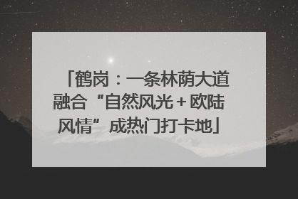 鹤岗：一条林荫大道融合“自然风光＋欧陆风情”成热门打卡地