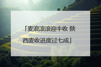 麦浪滚滚迎丰收 陕西麦收进度过七成