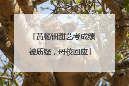 黄杨钿甜艺考成绩被质疑，母校回应