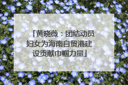 黄晓薇：团结动员妇女为海南自贸港建设贡献巾帼力量