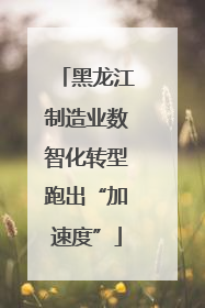 黑龙江制造业数智化转型跑出“加速度”