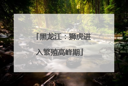 黑龙江：狮虎进入繁殖高峰期