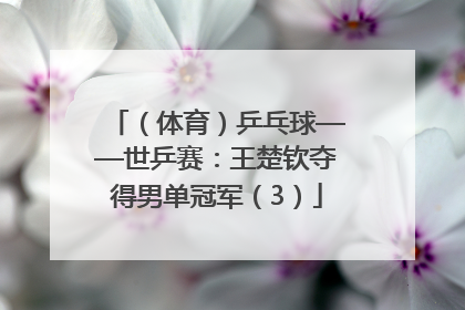 （体育）乒乓球——世乒赛：王楚钦夺得男单冠军（3）