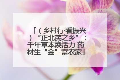 （乡村行·看振兴）“正北芪之乡”：千年草本焕活力 药材生“金”富农家