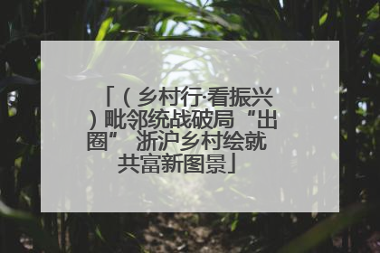 （乡村行·看振兴）毗邻统战破局“出圈” 浙沪乡村绘就共富新图景