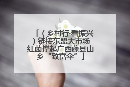 （乡村行·看振兴）链接东盟大市场 红菌撑起广西藤县山乡“致富伞”