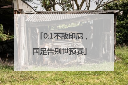 0:1不敌印尼，国足告别世预赛