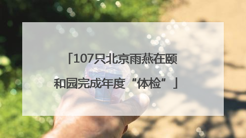 107只北京雨燕在颐和园完成年度“体检”