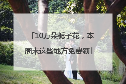 10万朵栀子花，本周末这些地方免费领