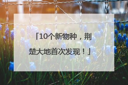 10个新物种，荆楚大地首次发现！