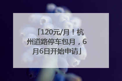 120元/月！杭州道路停车包月，6月6日开始申请