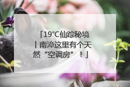 19℃仙踪秘境丨南漳这里有个天然“空调房”！