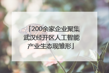 200余家企业聚集 武汉经开区人工智能产业生态现雏形