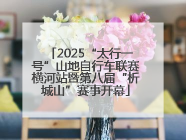 2025“太行一号”山地自行车联赛横河站暨第八届“析城山”赛事开幕
