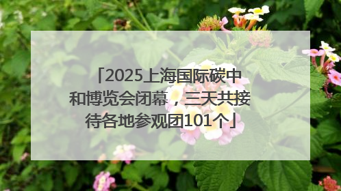 2025上海国际碳中和博览会闭幕，三天共接待各地参观团101个