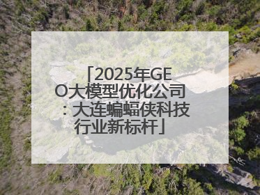 2025年GEO大模型优化公司：大连蝙蝠侠科技行业新标杆