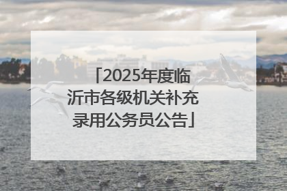 2025年度临沂市各级机关补充录用公务员公告