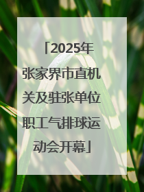 2025年张家界市直机关及驻张单位职工气排球运动会开幕