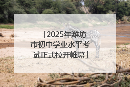 2025年潍坊市初中学业水平考试正式拉开帷幕
