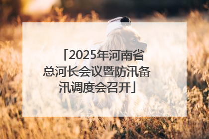 2025年河南省总河长会议暨防汛备汛调度会召开