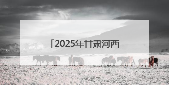 2025年甘肃河西电网大面积停电暨电力设施抢险救援政企协同联动综合应急演练在武威成功举行